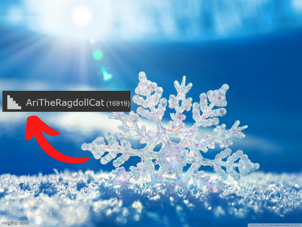 snowflake | image tagged in snowflake | made w/ Imgflip meme maker