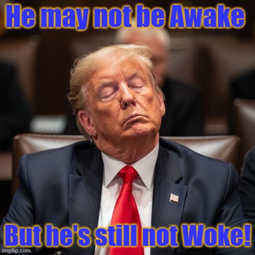 Trump woke | He may not be Awake; But he's still not Woke! | image tagged in trump is sleeping at trial | made w/ Imgflip meme maker