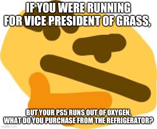 Multiple correct answers | IF YOU WERE RUNNING FOR VICE PRESIDENT OF GRASS, BUT YOUR PS5 RUNS OUT OF OXYGEN, WHAT DO YOU PURCHASE FROM THE REFRIGERATOR? | image tagged in thonk,shmebulak | made w/ Imgflip meme maker