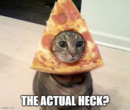 pizza cat | THE ACTUAL HECK? | image tagged in pizza cat | made w/ Imgflip meme maker