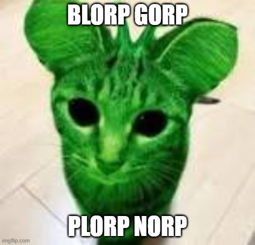 alien cat | BLORP GORP; PLORP NORP | image tagged in alien cat,memes | made w/ Imgflip meme maker
