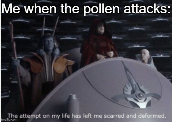 sithpost | Me when the pollen attacks: | image tagged in the attempt on my life,papa palps,star wars,star wars prequels,pollen,memes | made w/ Imgflip meme maker