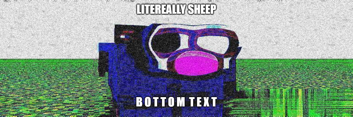 This is a video thumnail | LITEREALLY SHEEP; B O T T O M  T E X T | image tagged in sus,minecraftsheep,erjhgeirugeirgu,meme,yeswhy | made w/ Imgflip meme maker