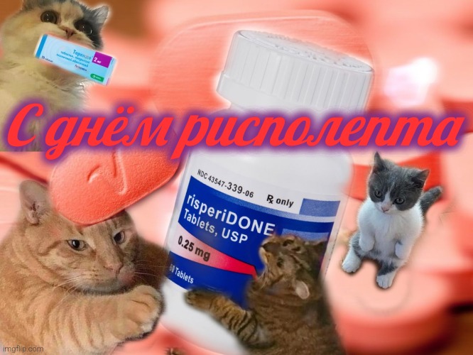 Congratulations, it's risperidone day! | С днём рисполепта | image tagged in congratulating cats | made w/ Imgflip meme maker