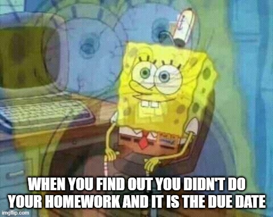 When you forget homework | WHEN YOU FIND OUT YOU DIDN'T DO YOUR HOMEWORK AND IT IS THE DUE DATE | image tagged in spongebob panic inside | made w/ Imgflip meme maker