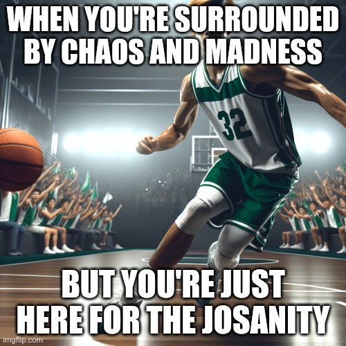 opposite of literally me | WHEN YOU'RE SURROUNDED BY CHAOS AND MADNESS; BUT YOU'RE JUST HERE FOR THE JOSANITY | made w/ Imgflip meme maker