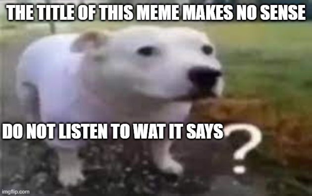 The meme is literally a pitbull in a onesie, it;s lying to you about me! | THE TITLE OF THIS MEME MAKES NO SENSE; DO NOT LISTEN TO WAT IT SAYS | image tagged in dog,hi its me the tags,both the meme and title are lying,you should listen to me instead | made w/ Imgflip meme maker