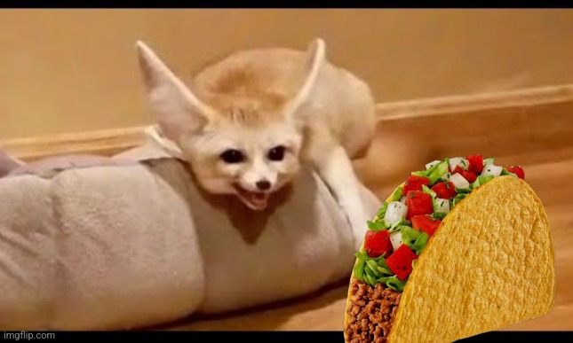 I'm afraid you can't eat tacos on Wednesday. | image tagged in taco,wednesday,nope | made w/ Imgflip meme maker