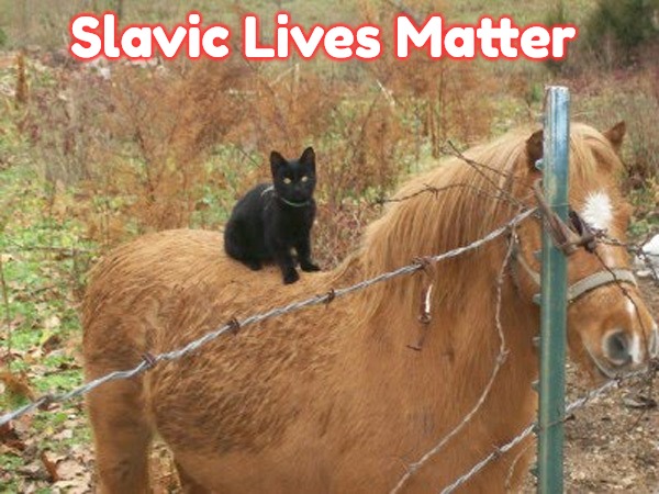 black cat on horse barbed wire fence | Slavic Lives Matter | image tagged in black cat on horse barbed wire fence,slavic | made w/ Imgflip meme maker