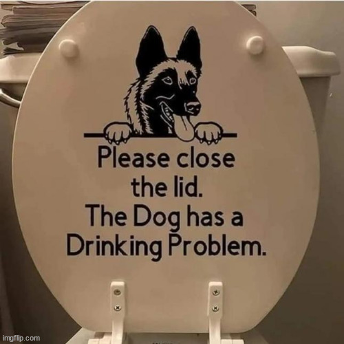Drinking problem | image tagged in repost,dog,drinking problem | made w/ Imgflip meme maker