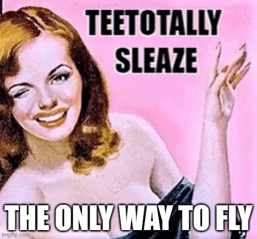 Teetotally sleaze | THE ONLY WAY TO FLY | image tagged in fly | made w/ Imgflip meme maker