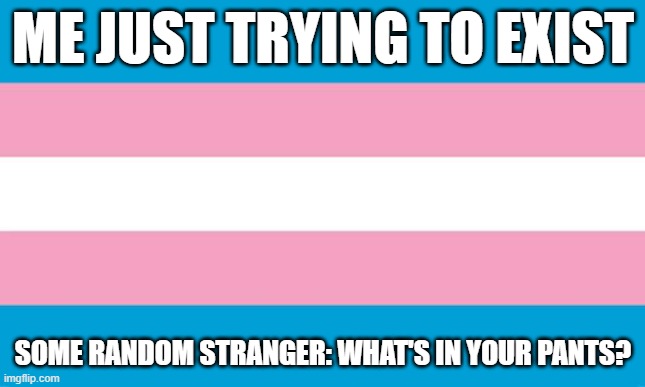 Transgender Flag | ME JUST TRYING TO EXIST; SOME RANDOM STRANGER: WHAT'S IN YOUR PANTS? | image tagged in transgender flag | made w/ Imgflip meme maker
