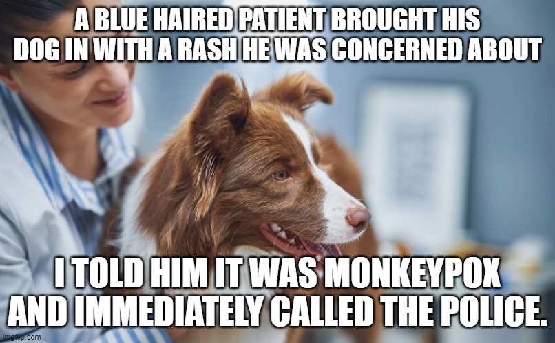 Vet Diagnosis | A BLUE HAIRED PATIENT BROUGHT HIS DOG IN WITH A RASH HE WAS CONCERNED ABOUT; I TOLD HIM IT WAS MONKEYPOX AND IMMEDIATELY CALLED THE POLICE. | image tagged in monkeypox,std,beastiality,report,911,veterinarian | made w/ Imgflip meme maker