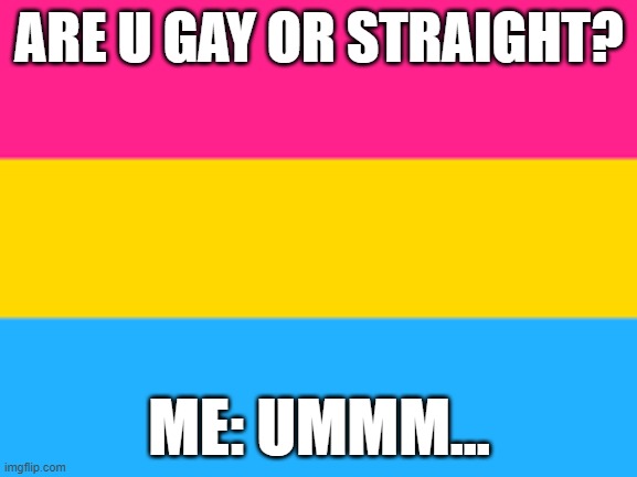 Pansexual flag | ARE U GAY OR STRAIGHT? ME: UMMM... | image tagged in pansexual flag | made w/ Imgflip meme maker