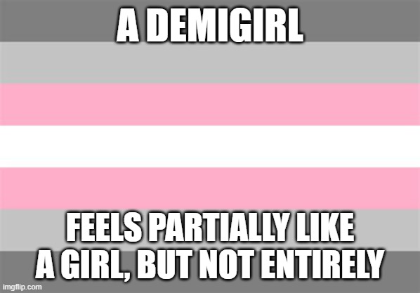 Demigirl flag | A DEMIGIRL; FEELS PARTIALLY LIKE A GIRL, BUT NOT ENTIRELY | image tagged in demigirl flag | made w/ Imgflip meme maker