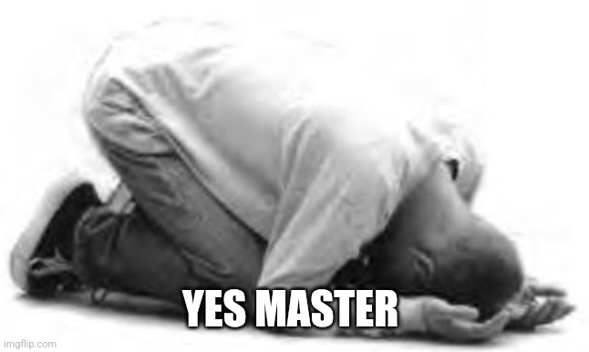 Bow Down | YES MASTER | image tagged in bow down | made w/ Imgflip meme maker