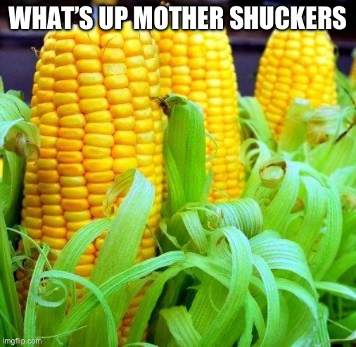 Hi | WHAT’S UP MOTHER SHUCKERS | image tagged in corn meme,shmebulak | made w/ Imgflip meme maker