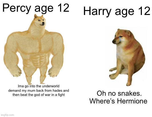 Buff Doge vs. Cheems Meme | Harry age 12; Percy age 12; Ima go into the underworld demand my mum back from hades and then beat the god of war in a fight; Oh no snakes. Where’s Hermione | image tagged in memes,buff doge vs cheems | made w/ Imgflip meme maker
