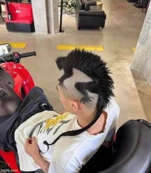 Cool haircuts | image tagged in repost,cool,haircuts | made w/ Imgflip meme maker
