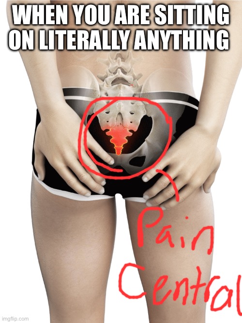 No this is not ‘dirty humor’ do not try to ‘get it’ just hurts real bad there | WHEN YOU ARE SITTING ON LITERALLY ANYTHING | image tagged in msmg,tailbone | made w/ Imgflip meme maker