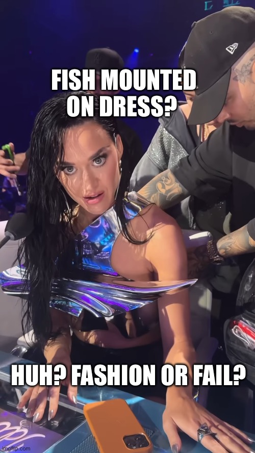 Someone needs a mirror or an honest girlfriend | FISH MOUNTED ON DRESS? HUH? FASHION OR FAIL? | image tagged in fashion fail,katy perry,celebrity,fashion | made w/ Imgflip meme maker