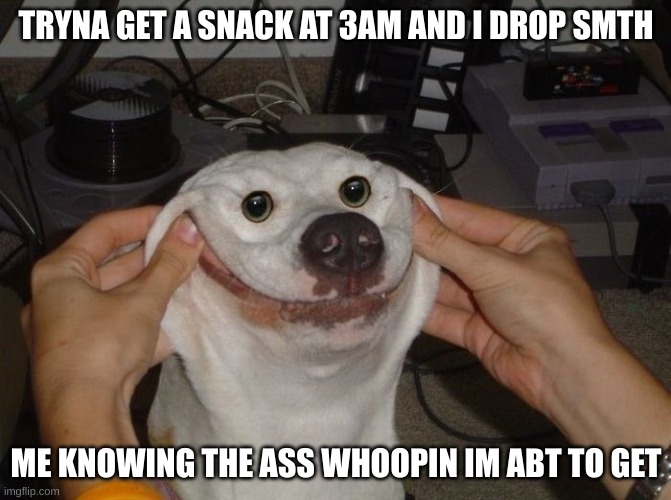 we're cooked | TRYNA GET A SNACK AT 3AM AND I DROP SMTH; ME KNOWING THE ASS WHOOPIN IM ABT TO GET | image tagged in forced to smile dog | made w/ Imgflip meme maker