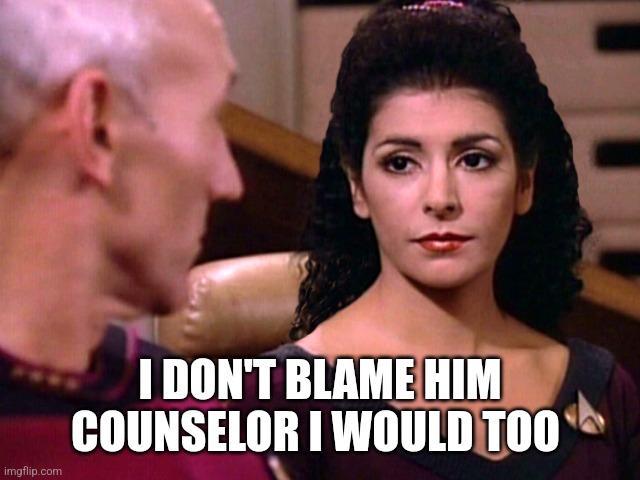 Counselor Troi is not amused | I DON'T BLAME HIM COUNSELOR I WOULD TOO | image tagged in counselor troi is not amused | made w/ Imgflip meme maker