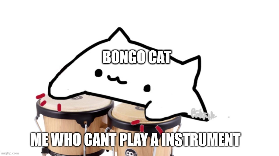 BONGO CAT | BONGO CAT; ME WHO CANT PLAY A INSTRUMENT | image tagged in bongo cat | made w/ Imgflip meme maker