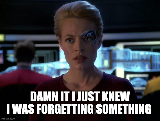 Seven of Nine on bridge | DAMN IT I JUST KNEW I WAS FORGETTING SOMETHING | image tagged in seven of nine on bridge | made w/ Imgflip meme maker