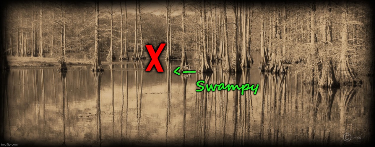 X <—               
Swampy | made w/ Imgflip meme maker