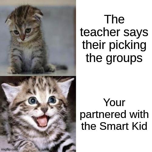 YES | The teacher says their picking the groups; Your partnered with the Smart Kid | image tagged in sad cat to happy cat,group projects,smart kid | made w/ Imgflip meme maker