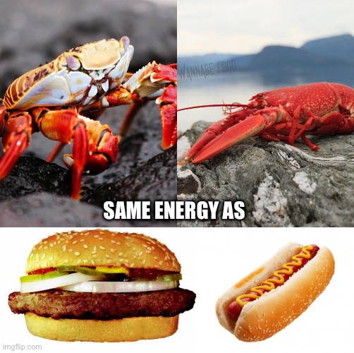Hamburger, hot dog = crab, lobster | SAME ENERGY AS | image tagged in hamburger,hot dog,crab,lobster | made w/ Imgflip meme maker