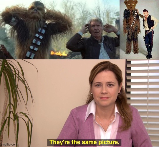 Same picture | image tagged in star wars han and chewy,memes,they're the same picture,teddy | made w/ Imgflip meme maker