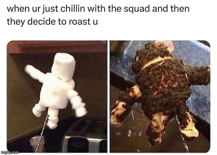 Roasted roasted | image tagged in roasted | made w/ Imgflip meme maker