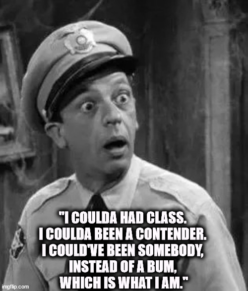 "I COULDA HAD CLASS. 
I COULDA BEEN A CONTENDER. 
I COULD'VE BEEN SOMEBODY, 
INSTEAD OF A BUM, 
WHICH IS WHAT I AM." | image tagged in don knotts,marlon brando,on the waterfront | made w/ Imgflip meme maker