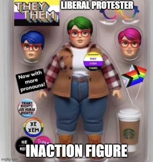 inaction figure | LIBERAL PROTESTER; INACTION FIGURE | image tagged in obese,pronouns,liberal logic,protesters,me too,doll | made w/ Imgflip meme maker