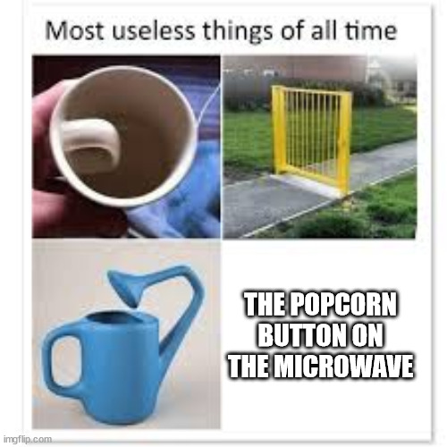why does it even exist | THE POPCORN BUTTON ON THE MICROWAVE | image tagged in most useless things,useless,useless stuff,popcorn,microwave,popcorn button | made w/ Imgflip meme maker