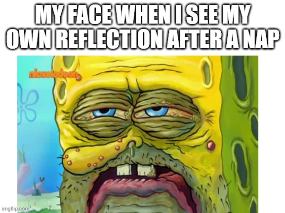 Blank White Template | MY FACE WHEN I SEE MY OWN REFLECTION AFTER A NAP | image tagged in blank white template | made w/ Imgflip meme maker