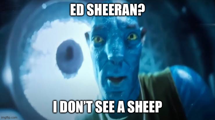 I didn’t know I was Gordon RAMsey | ED SHEERAN? I DON’T SEE A SHEEP | image tagged in avatar blue guy,ed sheeran memes,anti | made w/ Imgflip meme maker