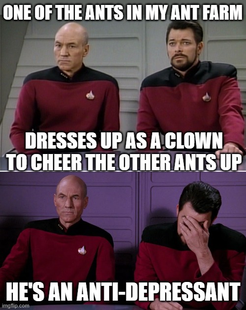 Antidepressant | ONE OF THE ANTS IN MY ANT FARM; DRESSES UP AS A CLOWN TO CHEER THE OTHER ANTS UP; HE'S AN ANTI-DEPRESSANT | image tagged in picard riker listening to a pun,stupid joke,antidepressant | made w/ Imgflip meme maker