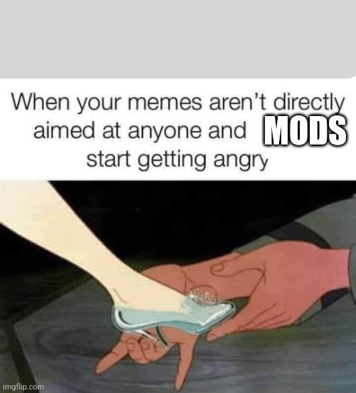 MODS | image tagged in cinderella | made w/ Imgflip meme maker