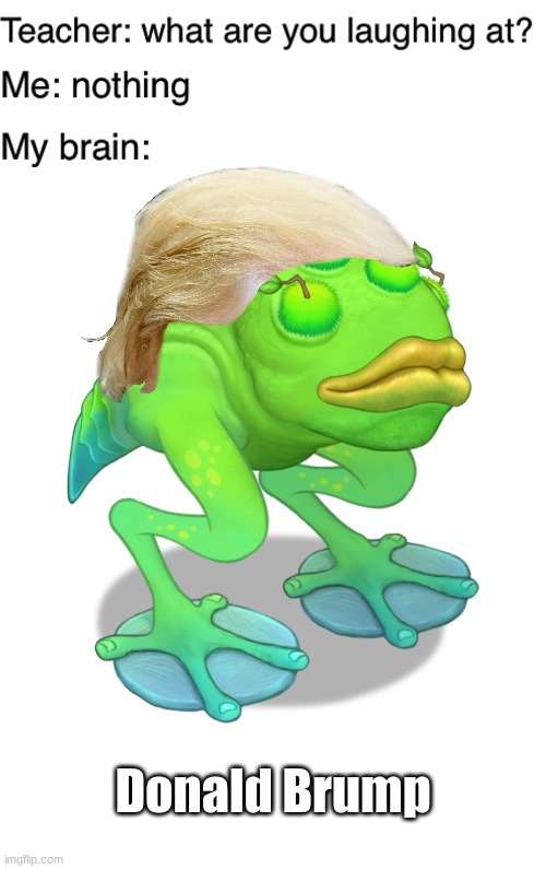 Brump LOL | Donald Brump | image tagged in teacher what are you laughing at | made w/ Imgflip meme maker