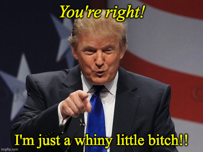 Donald trump | You're right! I'm just a whiny little bitch!! | image tagged in donald trump | made w/ Imgflip meme maker