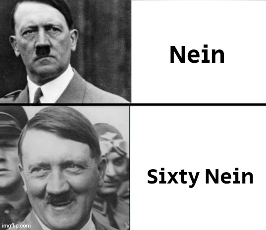 Hitler Hotline Bling | Nein; Sixty Nein | image tagged in hitler hotline bling | made w/ Imgflip meme maker