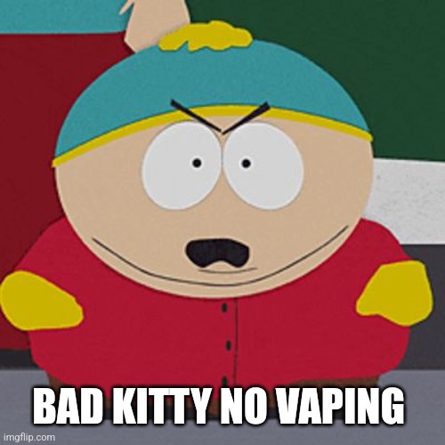 Angry-Cartman | BAD KITTY NO VAPING | image tagged in angry-cartman | made w/ Imgflip meme maker
