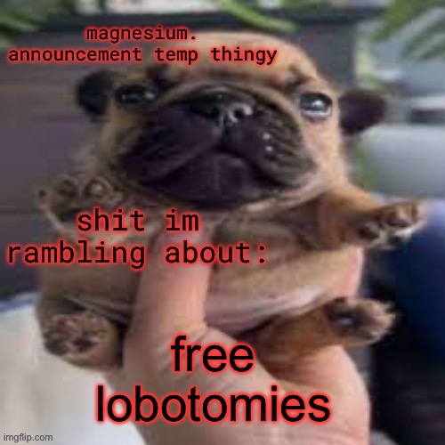 pug temp | free lobotomies | image tagged in pug temp | made w/ Imgflip meme maker