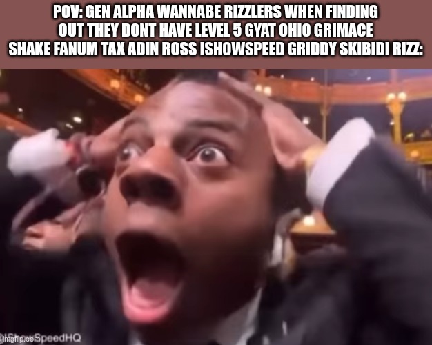 Gen Alpha in a nushell?? | POV: GEN ALPHA WANNABE RIZZLERS WHEN FINDING OUT THEY DONT HAVE LEVEL 5 GYAT OHIO GRIMACE SHAKE FANUM TAX ADIN ROSS ISHOWSPEED GRIDDY SKIBIDI RIZZ: | image tagged in fr fr ong,gen alpha,memes,funny,funny memes,discovery | made w/ Imgflip meme maker