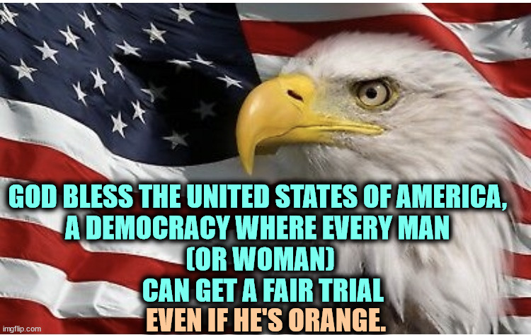 God Bless the American Eagle. | GOD BLESS THE UNITED STATES OF AMERICA, 
A DEMOCRACY WHERE EVERY MAN 
(OR WOMAN)
 CAN GET A FAIR TRIAL; EVEN IF HE'S ORANGE. | image tagged in american eagle,america,democracy,fair,law,orange | made w/ Imgflip meme maker
