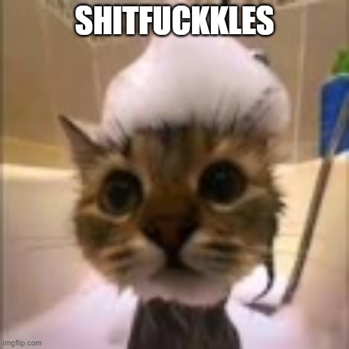 His dumbass is NOT taking a shower!!! | SHITFUCKKLES | image tagged in his dumbass is not taking a shower | made w/ Imgflip meme maker