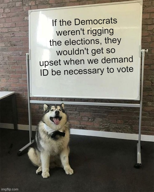 Even in a corporate oligarchy disguised as a democracy we should at least get what we want once in a while. | If the Democrats weren't rigging the elections, they wouldn't get so upset when we demand ID be necessary to vote | image tagged in how to be a good boy | made w/ Imgflip meme maker
